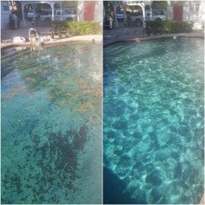 pool cleaning before and after picture