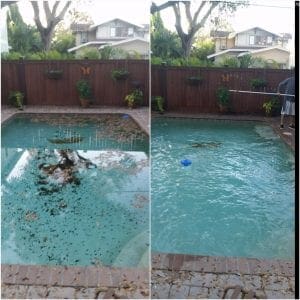 ool cleaning before and after picture