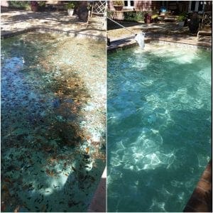 pool cleaning before and after picture